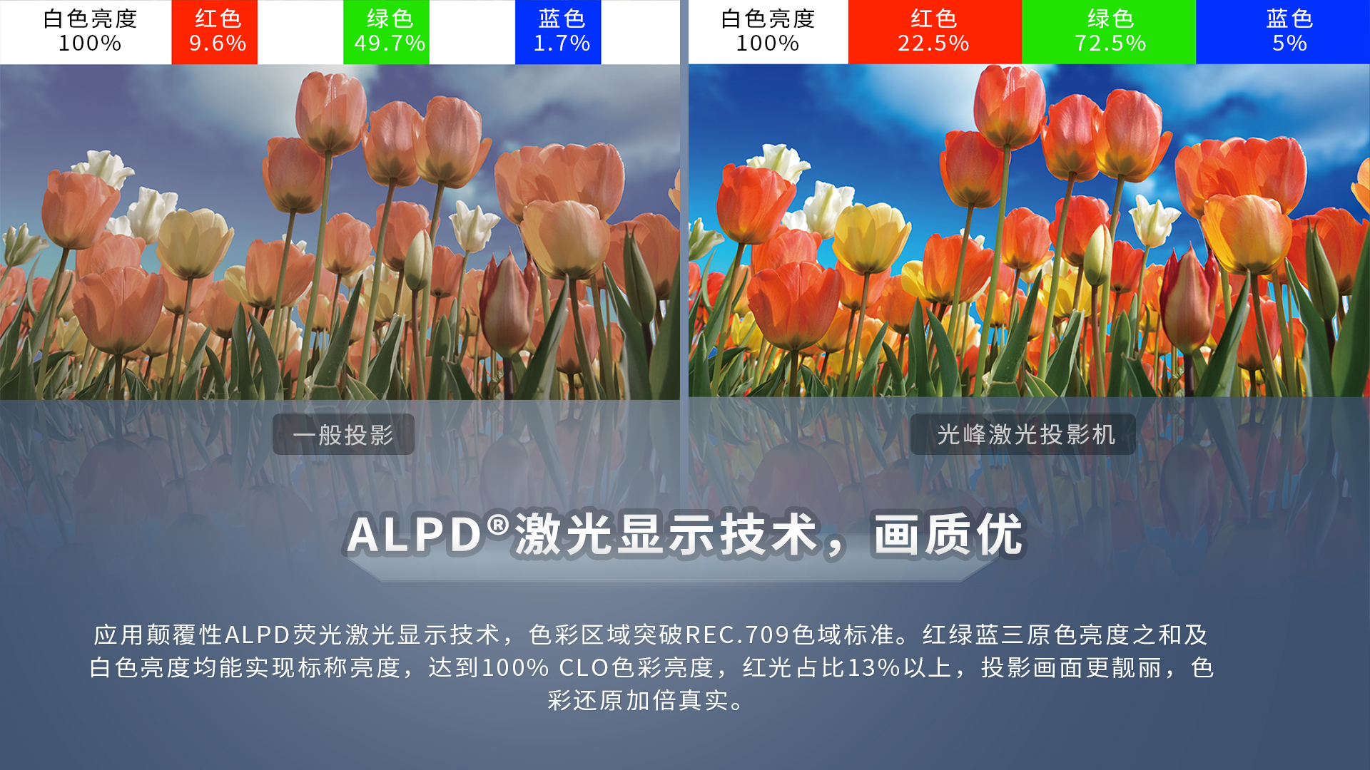 港澳宝典49图库