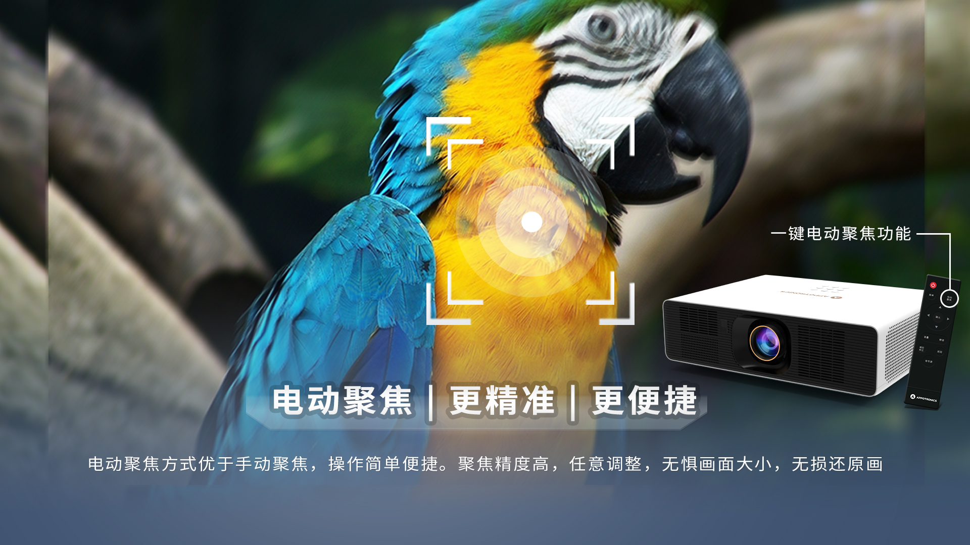 港澳宝典49图库