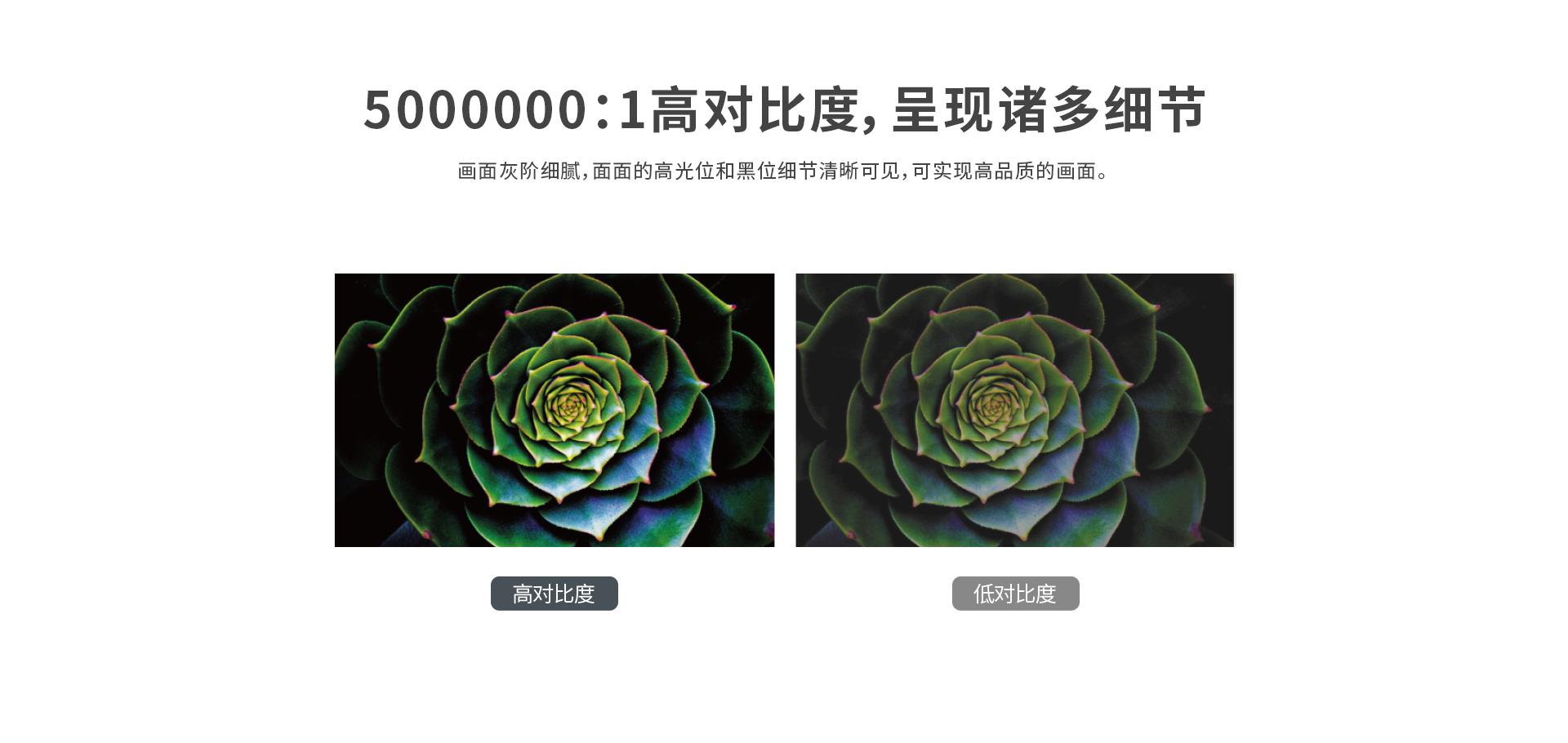 港澳宝典49图库